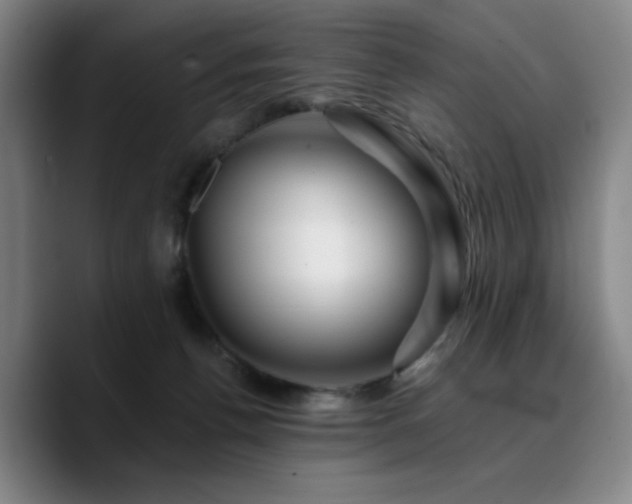 X0000090720176200707201356
