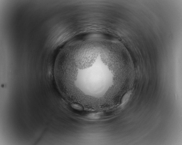 X0000090720178200707201356