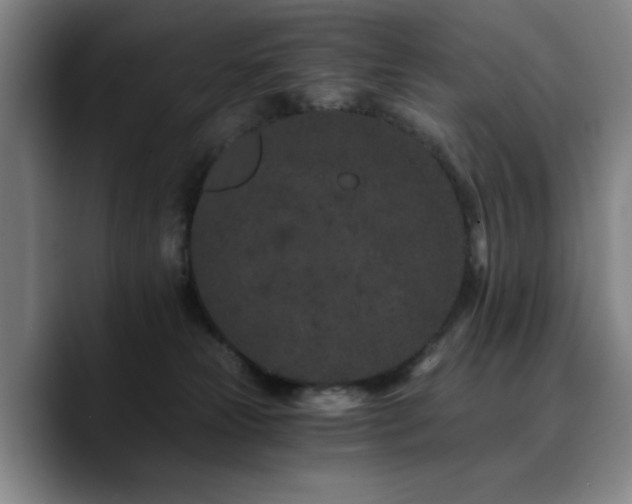 X0000090720181200707201356