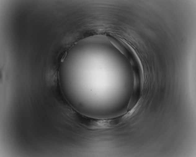 X0000090720184200707201356