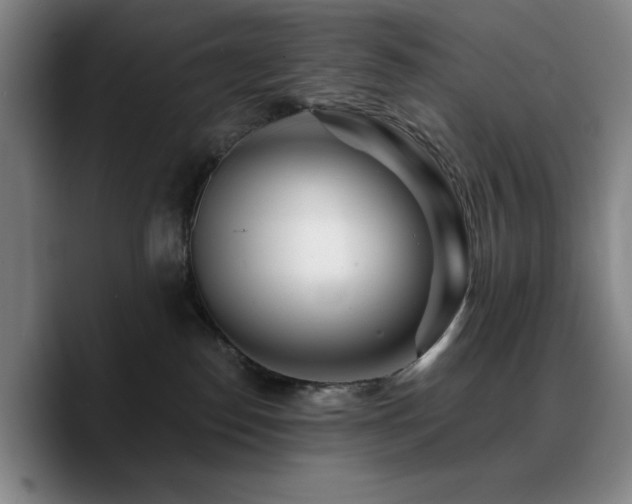 X0000090720186200707201356