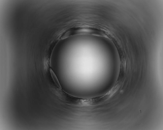 X0000090720188200707201356