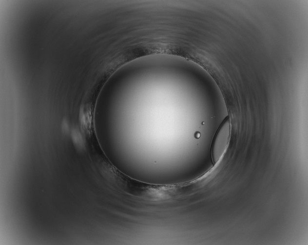 X0000090720190200707201356