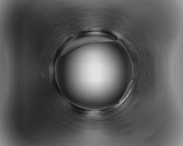 X0000090720192200707201356
