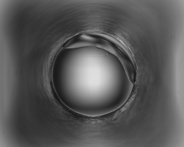X0000090720193200707201355