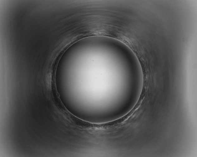X0000090720194200707201355