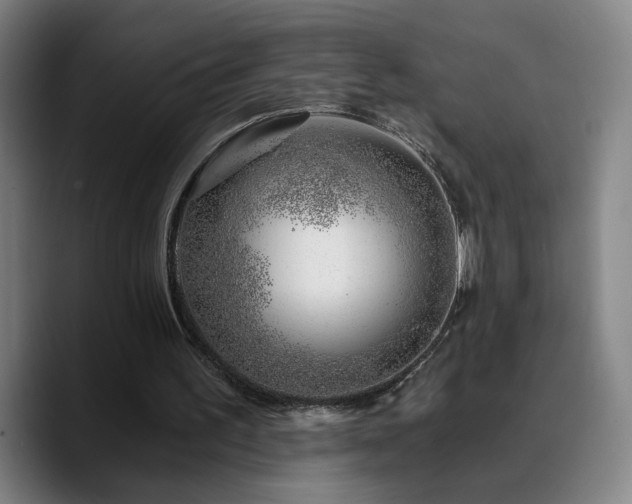 X0000090720195200707201355