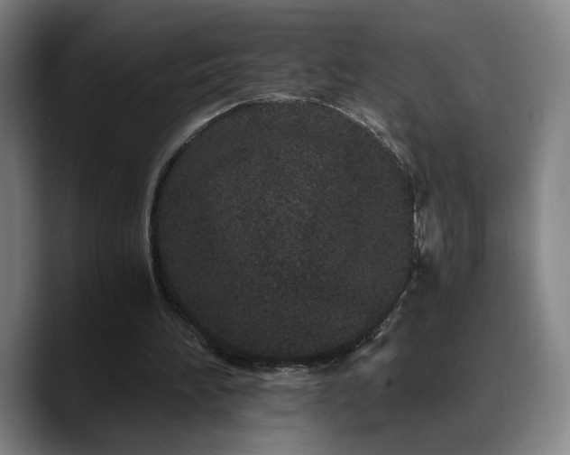 X0000090720196200707201355