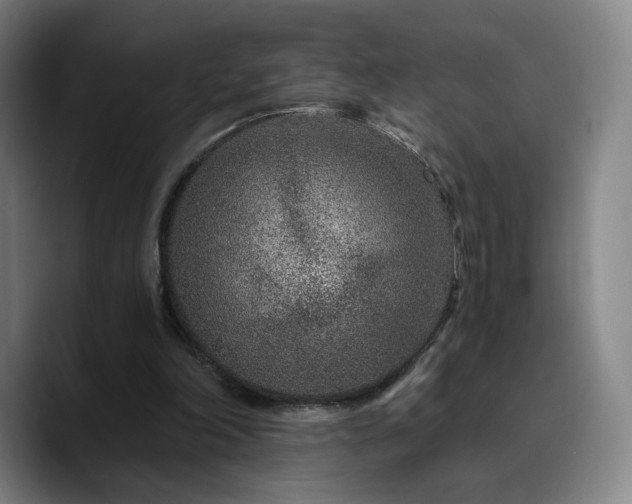 X0000090720198200707201355