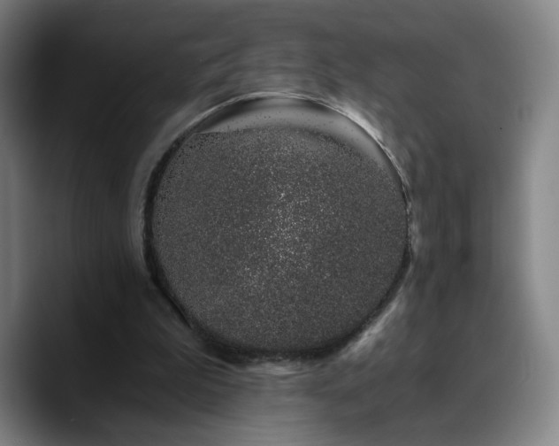 X0000090720199200707201355