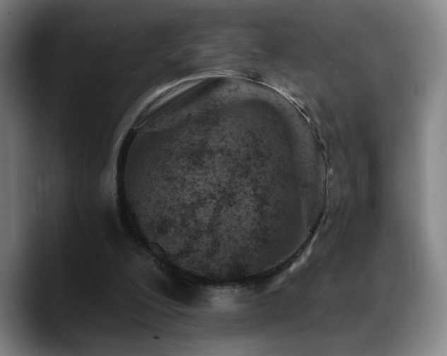X0000090720200200707201355