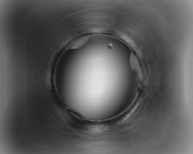 X0000090720201200707201355