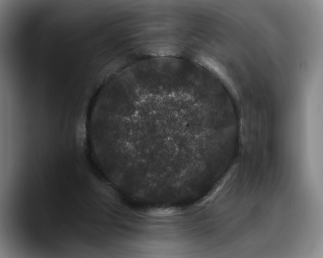 X0000090720202200707201355
