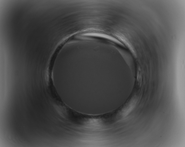 X0000090720204200707201355