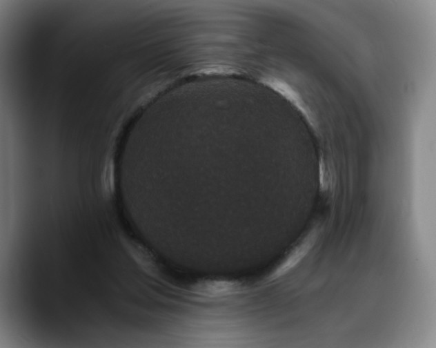 X0000090720205200707201355
