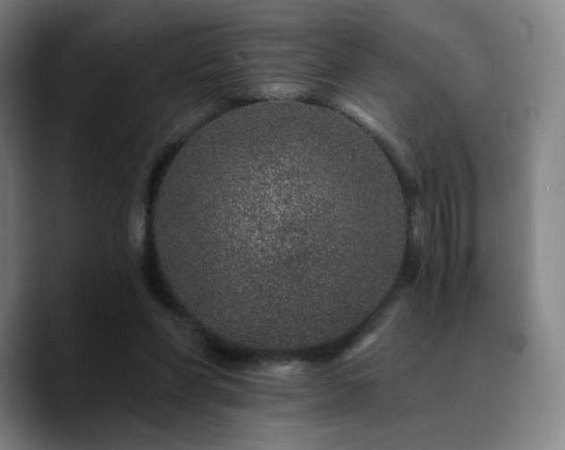 X0000090720206200707201355