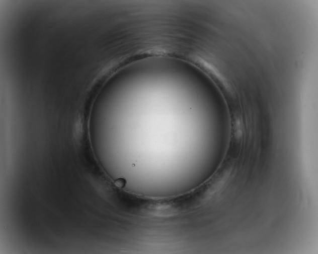 X0000090720208200707201355