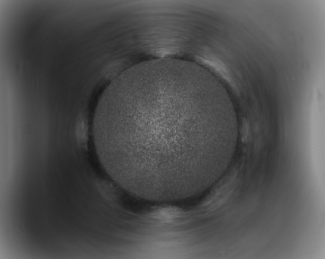 X0000090720210200707201355