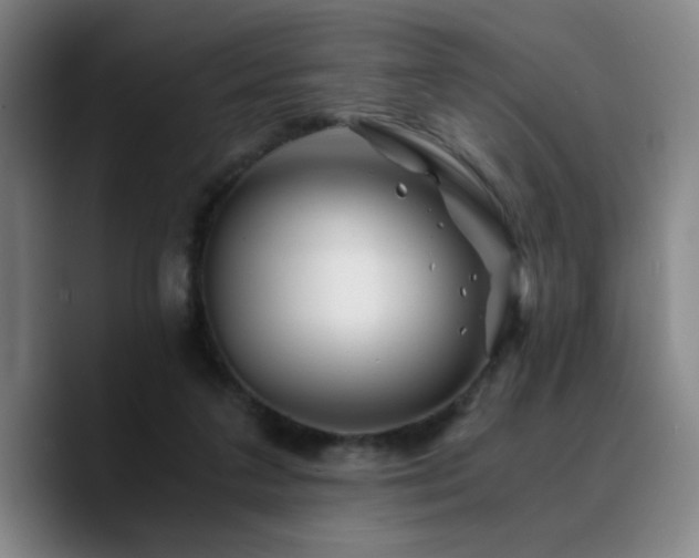 X0000090720211200707201355