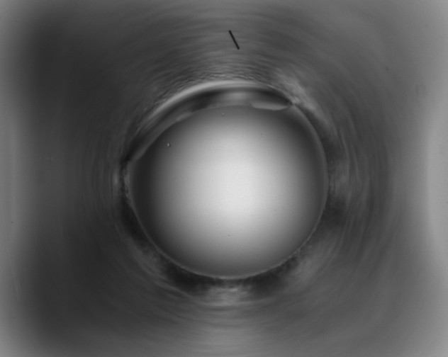 X0000090720213200707201355
