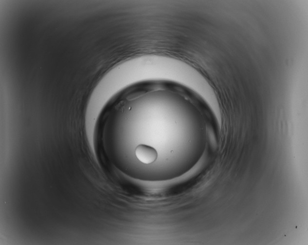 X0000090720215200707201355