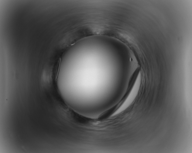 X0000090720221200707201355
