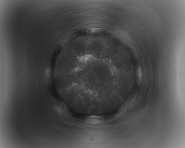 X0000090720222200707201355