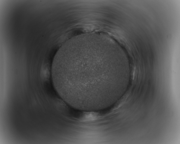 X0000090720226200707201355