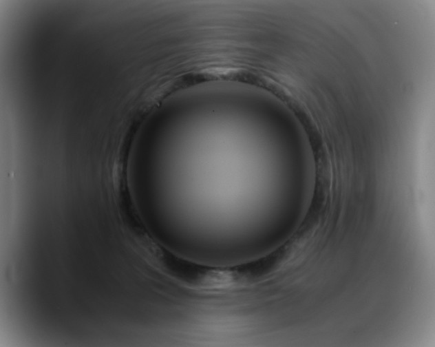 X0000090720227200707201355