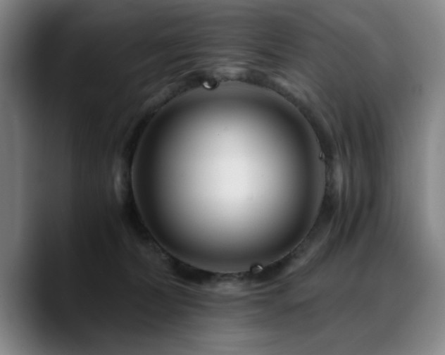 X0000090720228200707201355