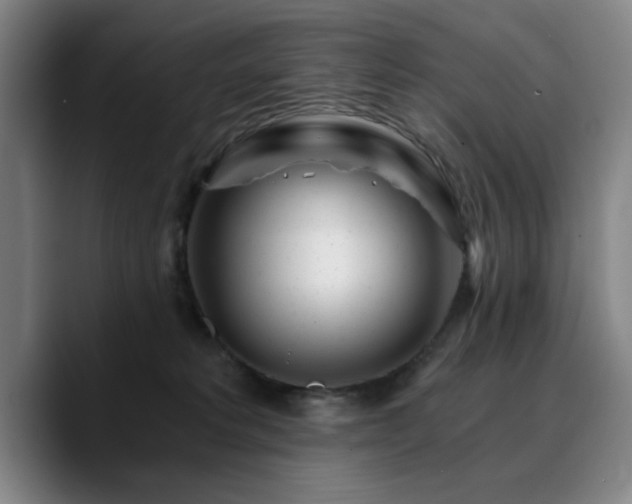 X0000090720229200707201355