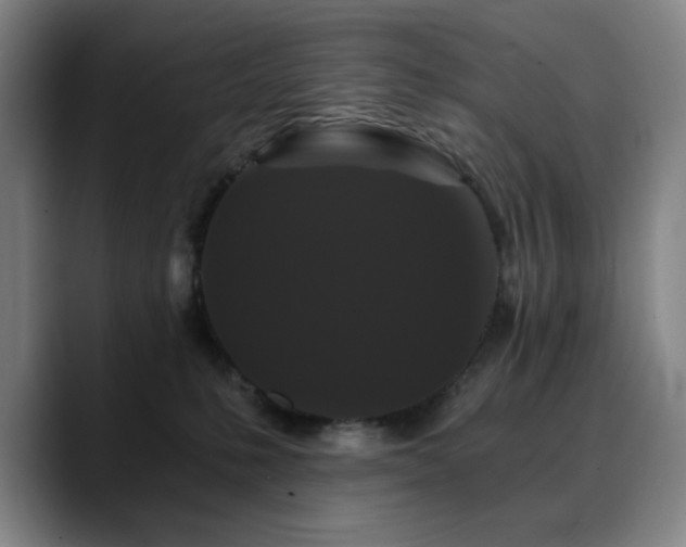 X0000090720231200707201355