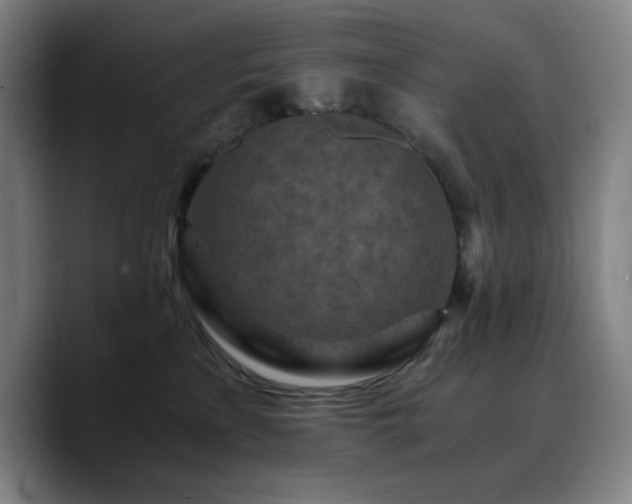 X0000090720233200707201355