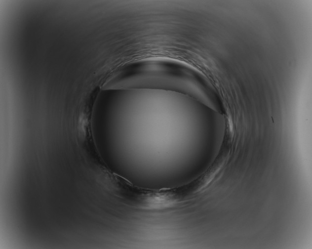 X0000090720235200707201355