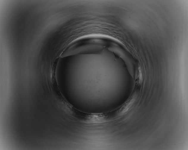 X0000090720239200707201354