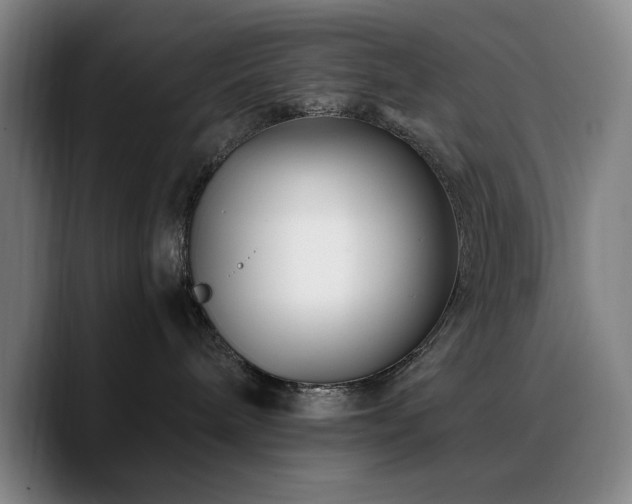 X0000090720240200707201354
