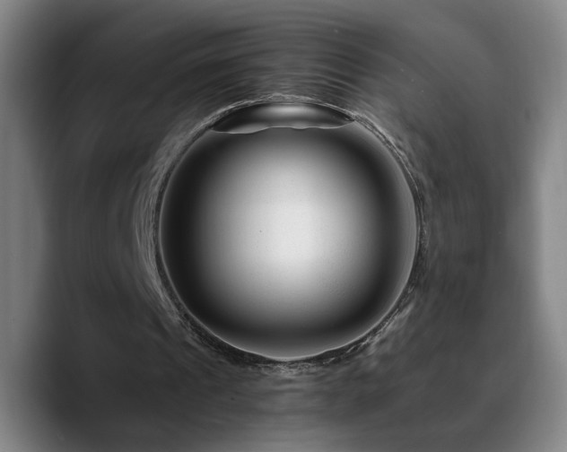 X0000090720241200707201354