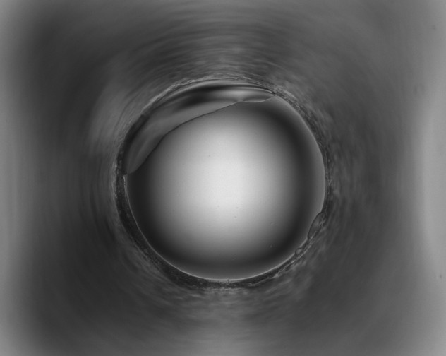 X0000090720242200707201354