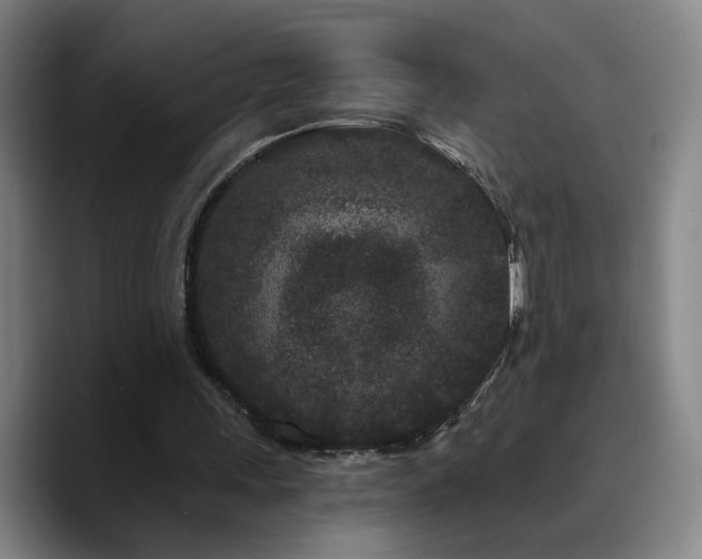 X0000090720243200707201354