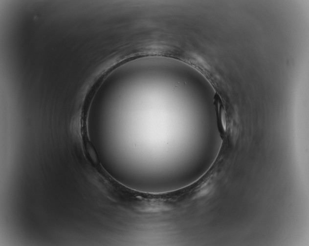 X0000090720244200707201354