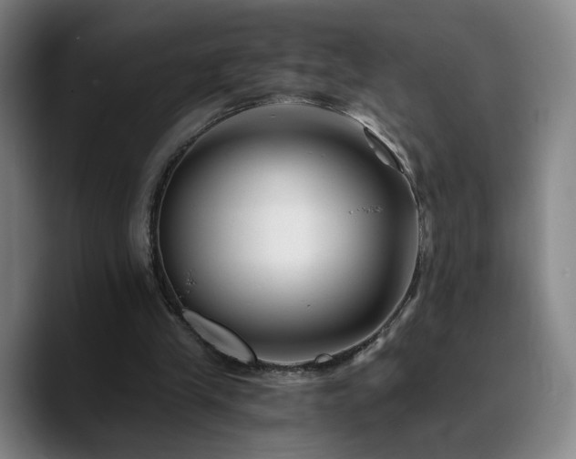 X0000090720245200707201354