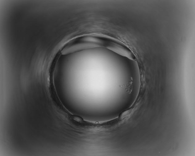 X0000090720246200707201354