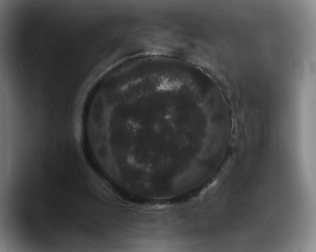 X0000090720247200707201354