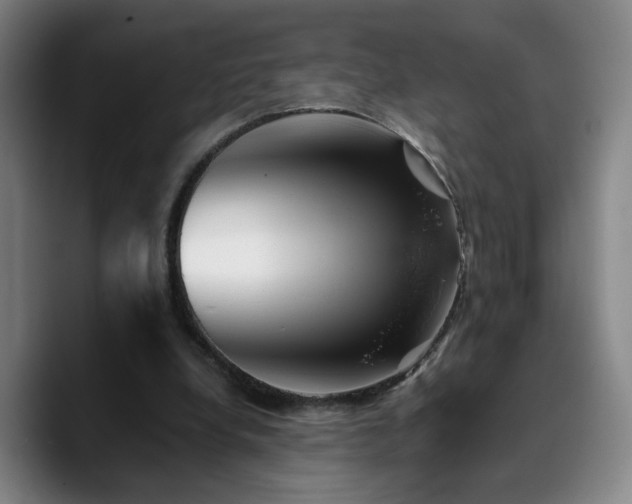 X0000090720248200707201354