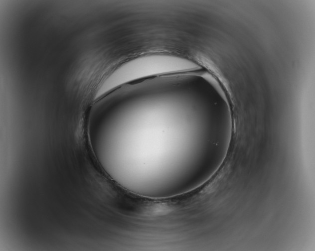 X0000090720249200707201354