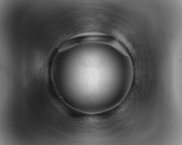 X0000090720250200707201354