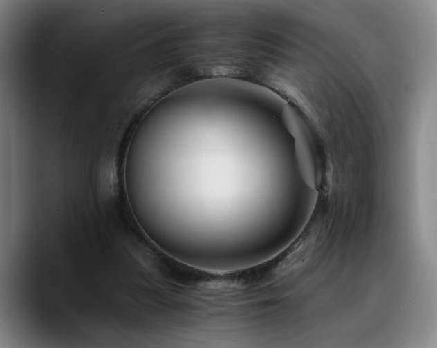 X0000090720251200707201354