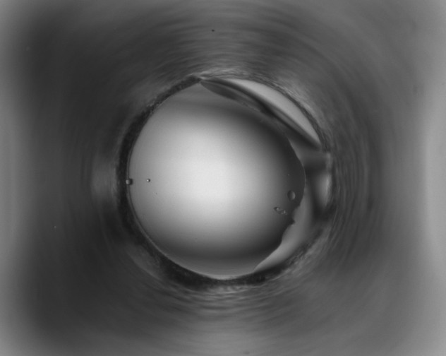 X0000090720252200707201354