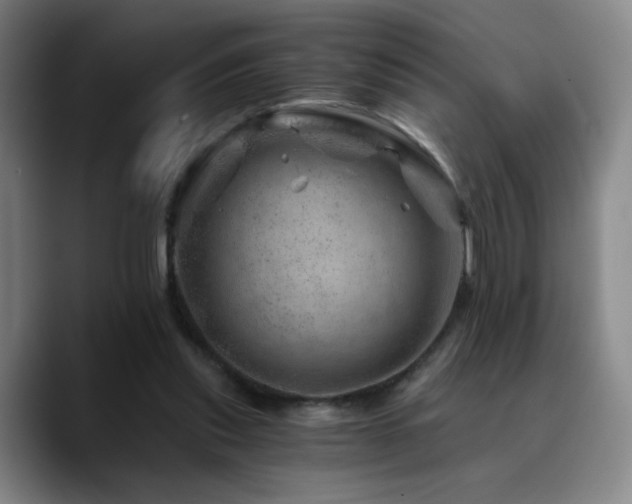 X0000090720253200707201354