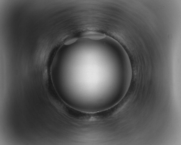 X0000090720254200707201354